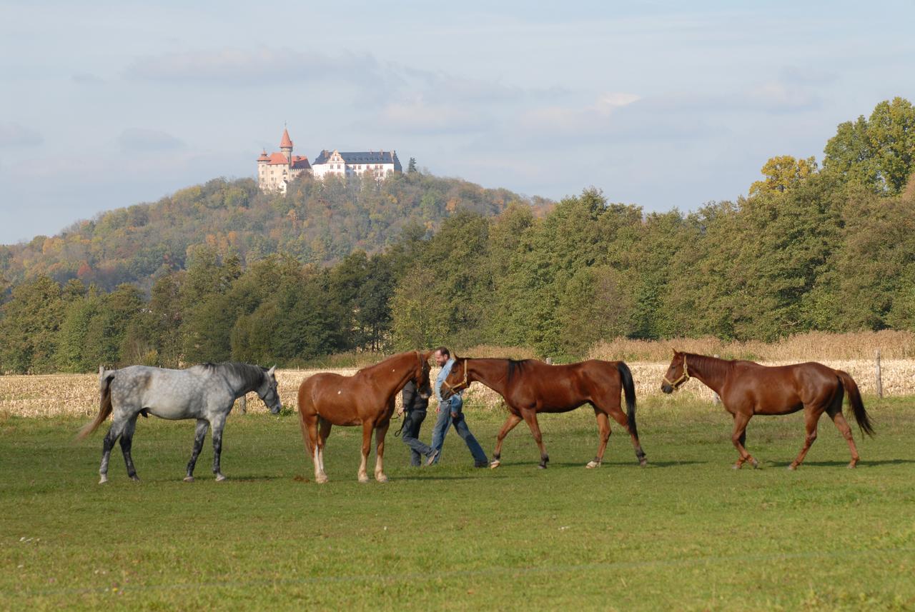 Land- Und Aktivhotel Altmuehlaue Bad Rodach Kültér fotó